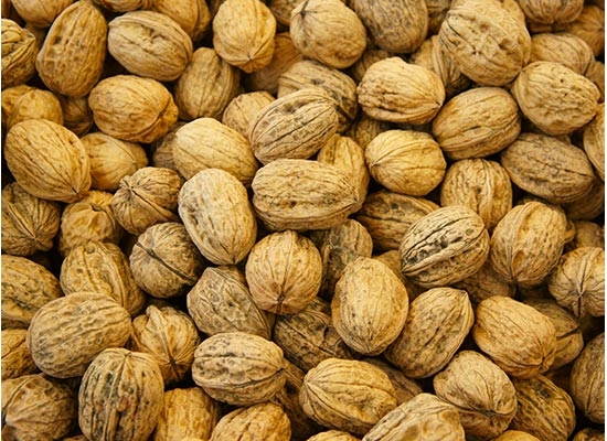 Noci